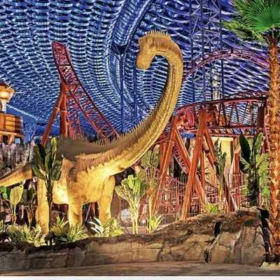 IMG World